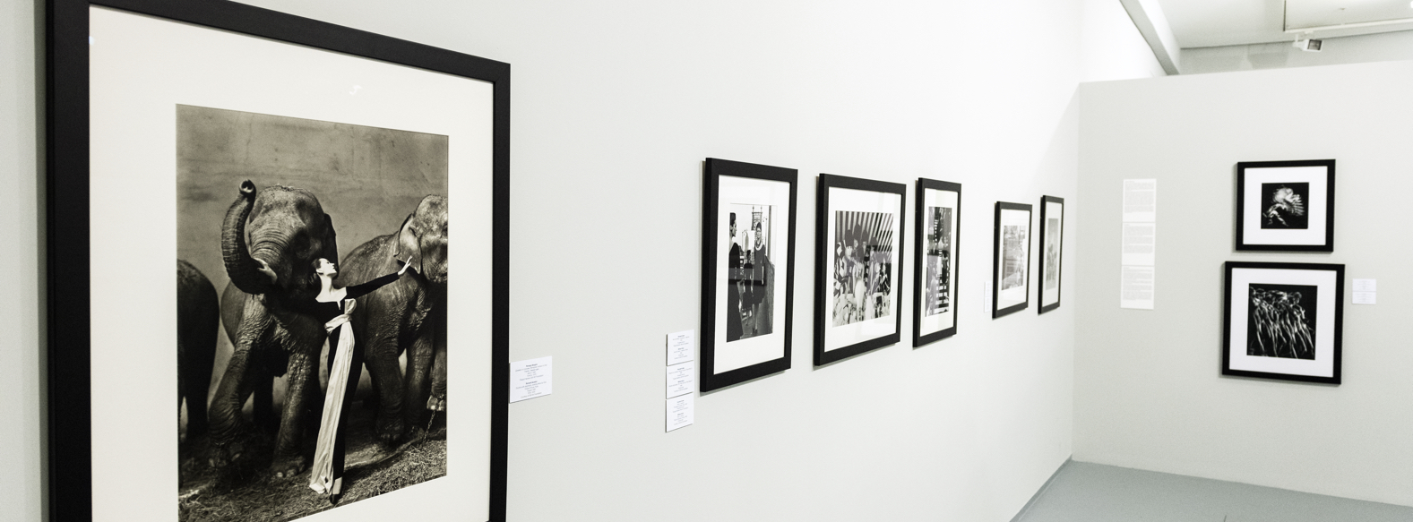 STILL ART COLLECTION. SELECTED WORKS