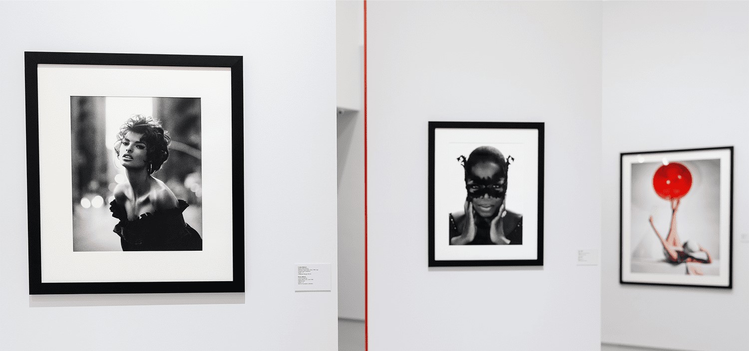 THE COLLECTION OF THE STILL ART FOUNDATION. MASTERPIECES OF WORLD FASHION PHOTOGRAPHY. AT THE MULTIMEDIA ART MUSEUM