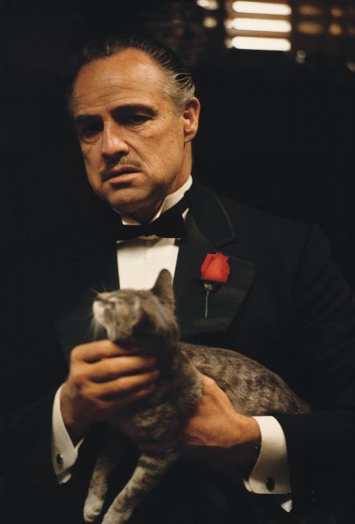 «GODFATHER»