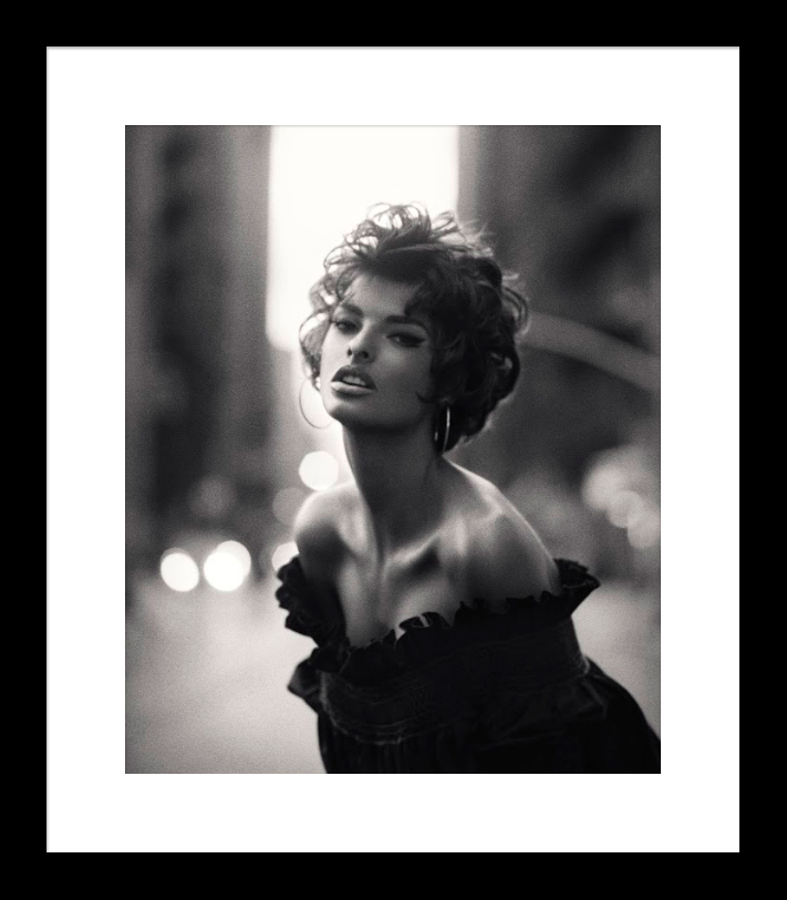 STEVEN MEISEL