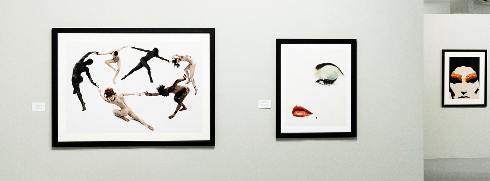 STILL ART COLLECTION. SELECTED WORKS
