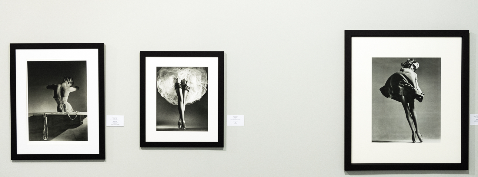 STILL ART COLLECTION. SELECTED WORKS