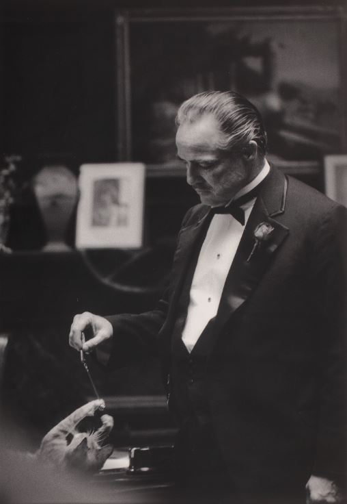 «GODFATHER»