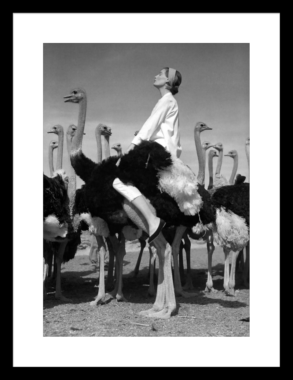 NORMAN PARKINSON