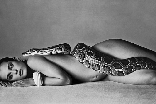 RICHARD AVEDON